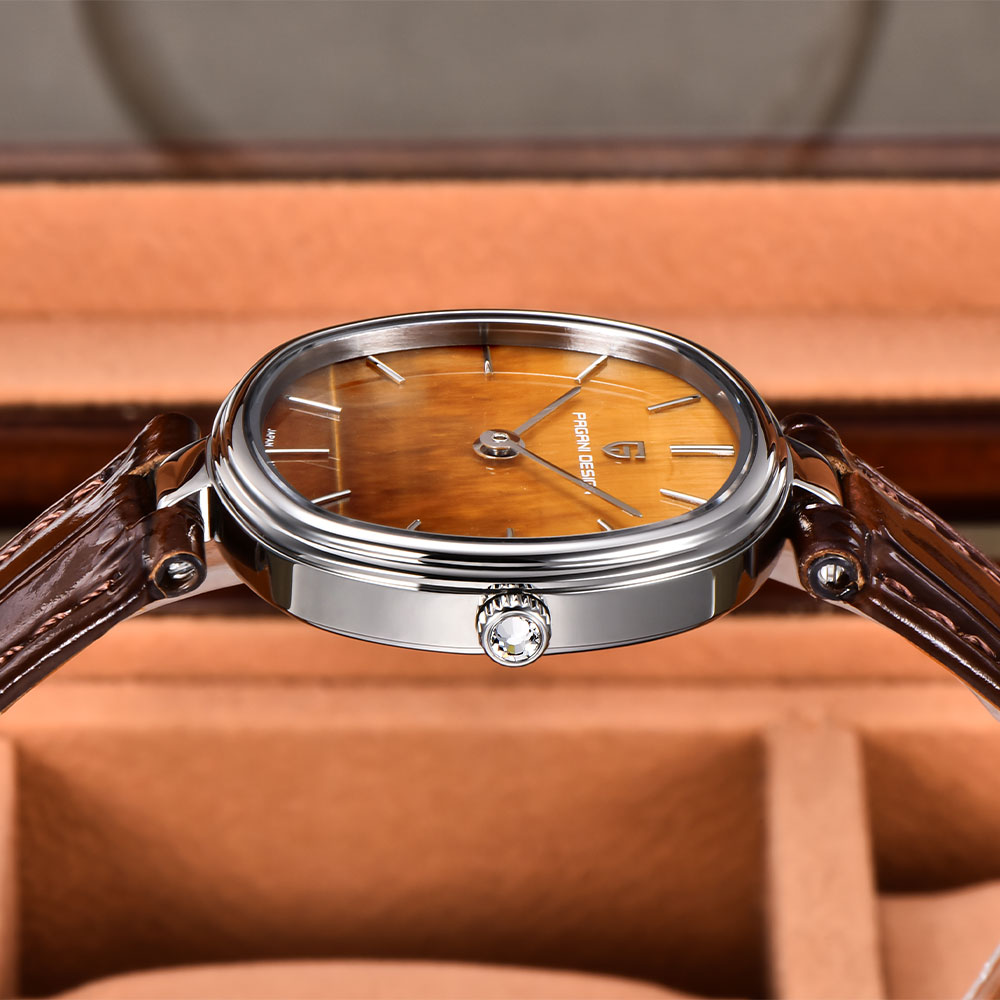 PAGANI DESIGN 2026 New Quartz  - Anti-Magnetic Watch のレビューと価格